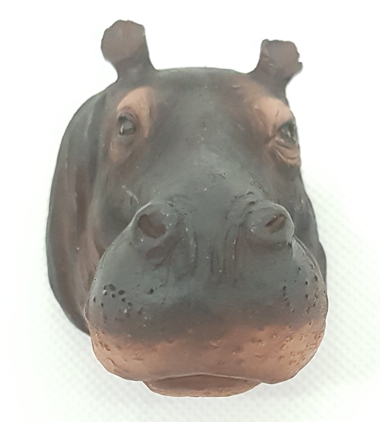 Fridge Magnet-Resin Animal heads