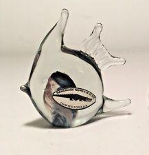 Glass Animal-Fish
